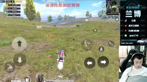 兰博爆料直播回放视频大全,回放视频大全精彩瞬间大盘点  第1张